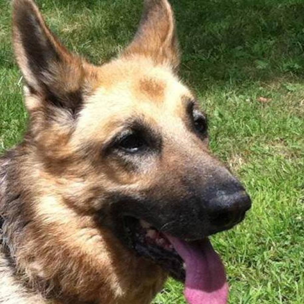 Meet your Posher, Sharon